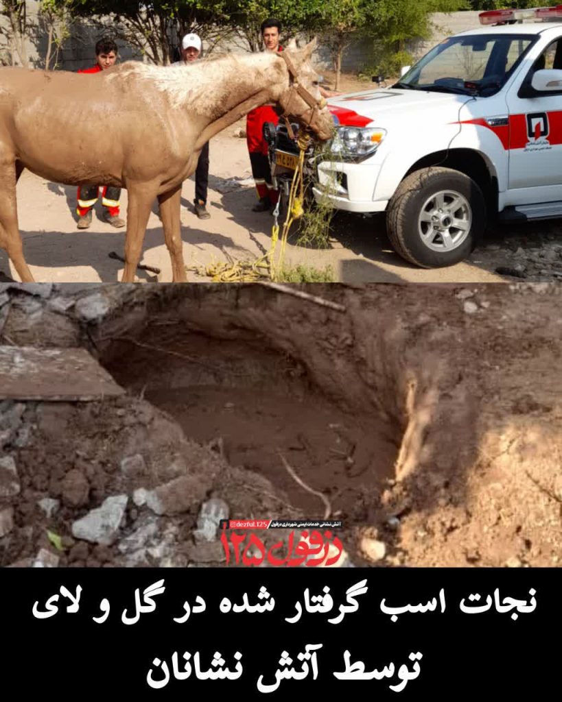 نجات اسب گرفتار شده در گل و لای توسط آتش‌نشانان دزفول