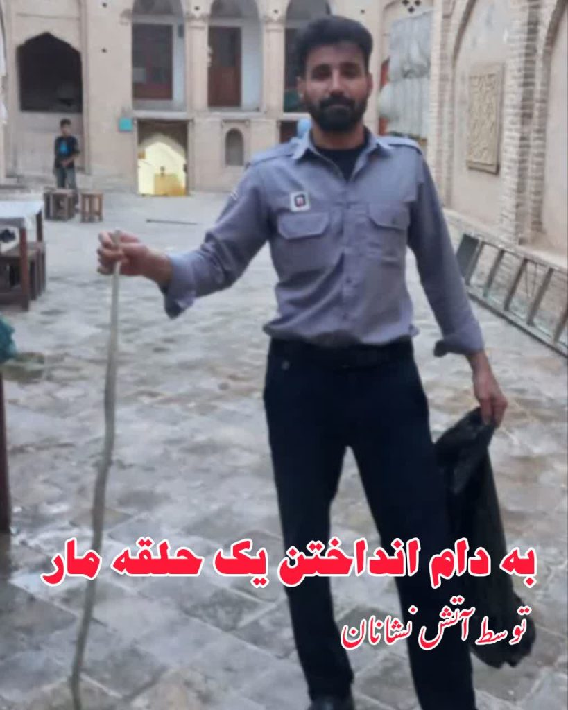 به دام انداختن یک حلقه مار توسط آتش نشانان